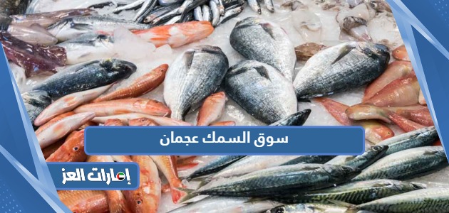مواعيد عمل سوق السمك عجمان 2024